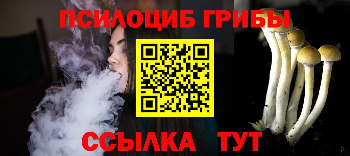 Галлюциногенные грибы мицелий Нововоронеж